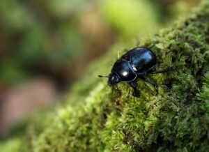 マッチングアプリを同時進行する場合、何人までが理想なのか？