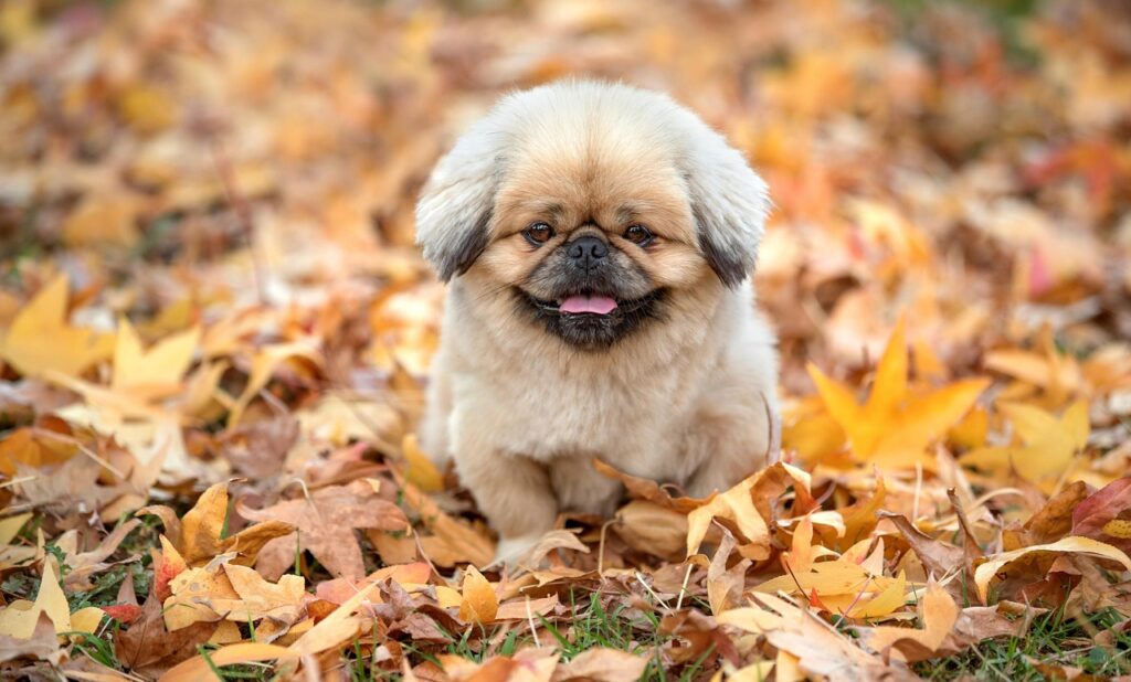 マッチングアプリの利用履歴はバレるのか？