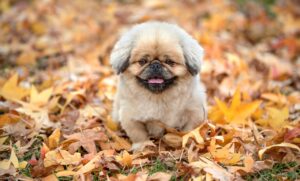 マッチングアプリの利用履歴はバレるのか？