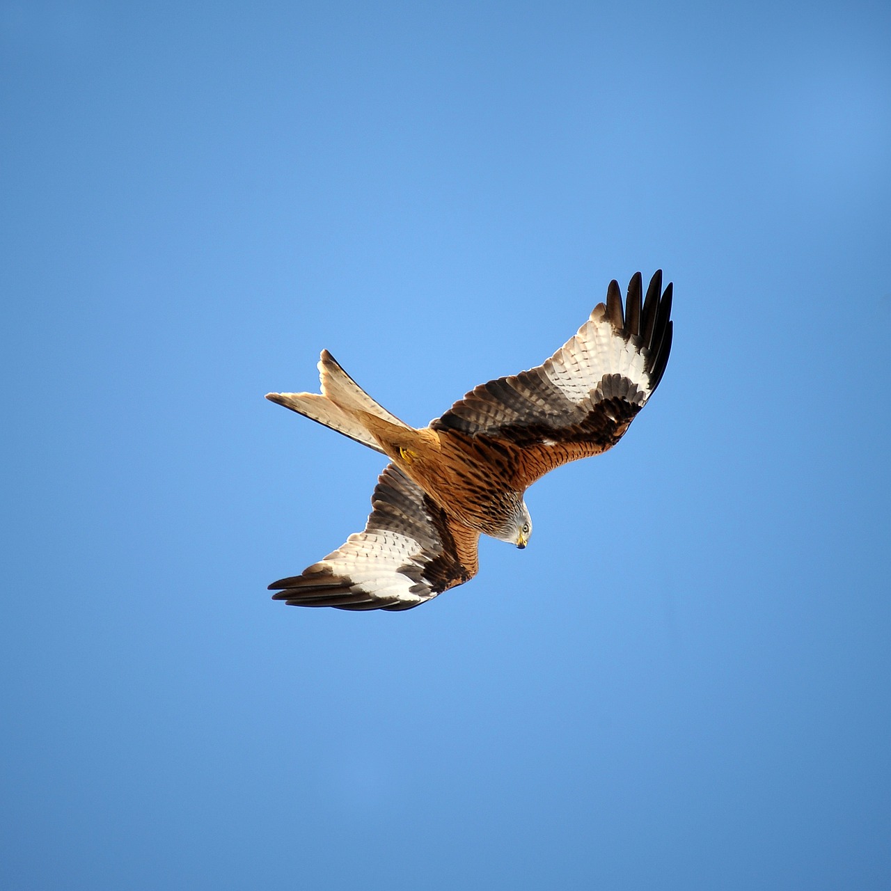 マッチングアプリで身バレしないためのコツは？