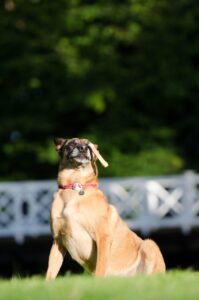 30代の婚活がうまくいかない理由とは？